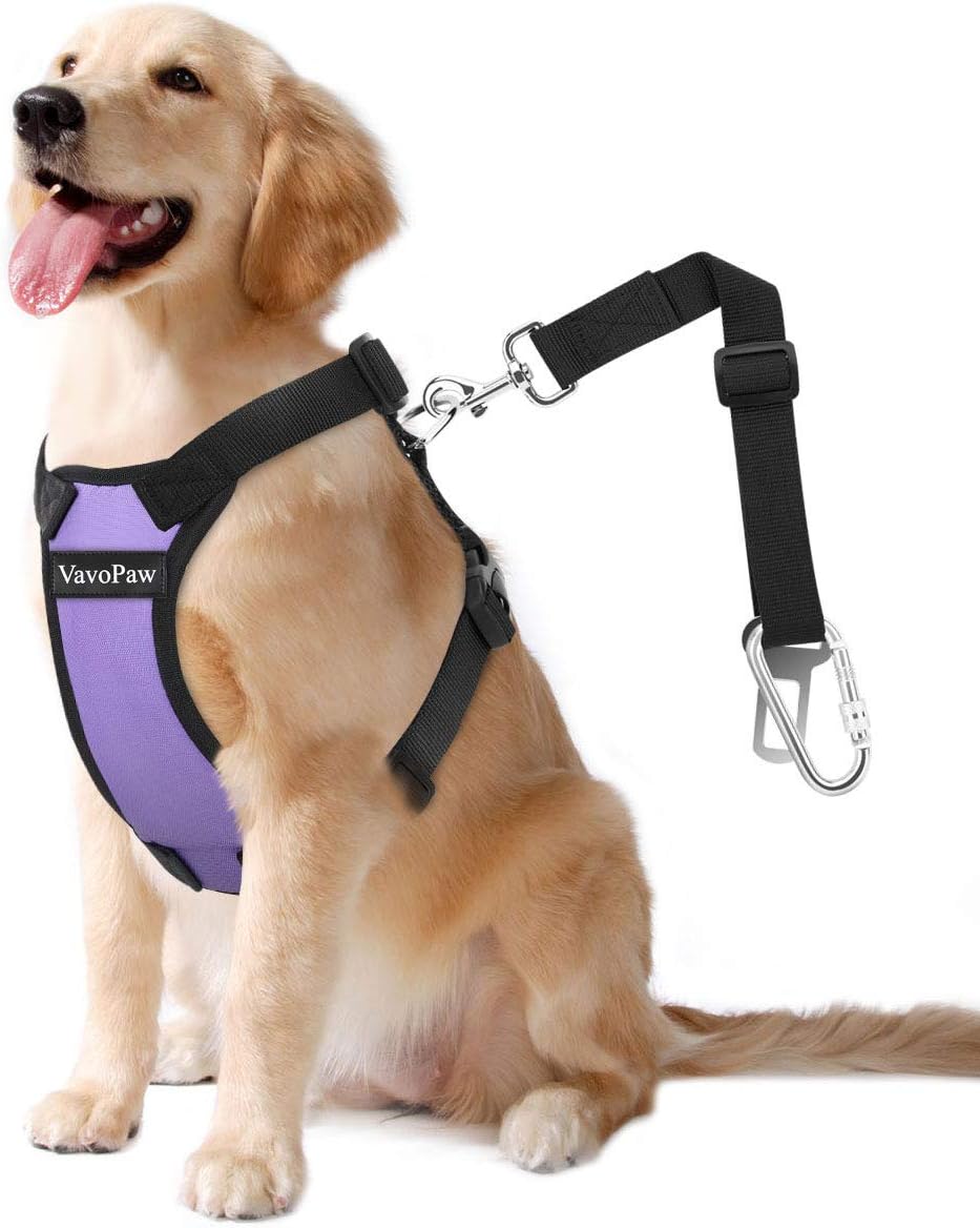 VavoPaw Dog Vehicle Safety Vest Harness, Adjustable Soft Padded Mesh