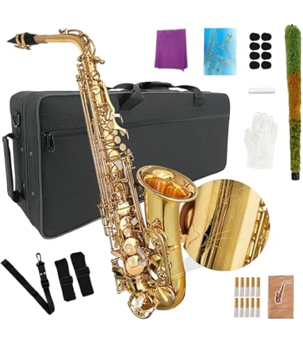 Amazon.com: Eldon by Antigua AS-22 Eb Alto Saxophone Lacquer