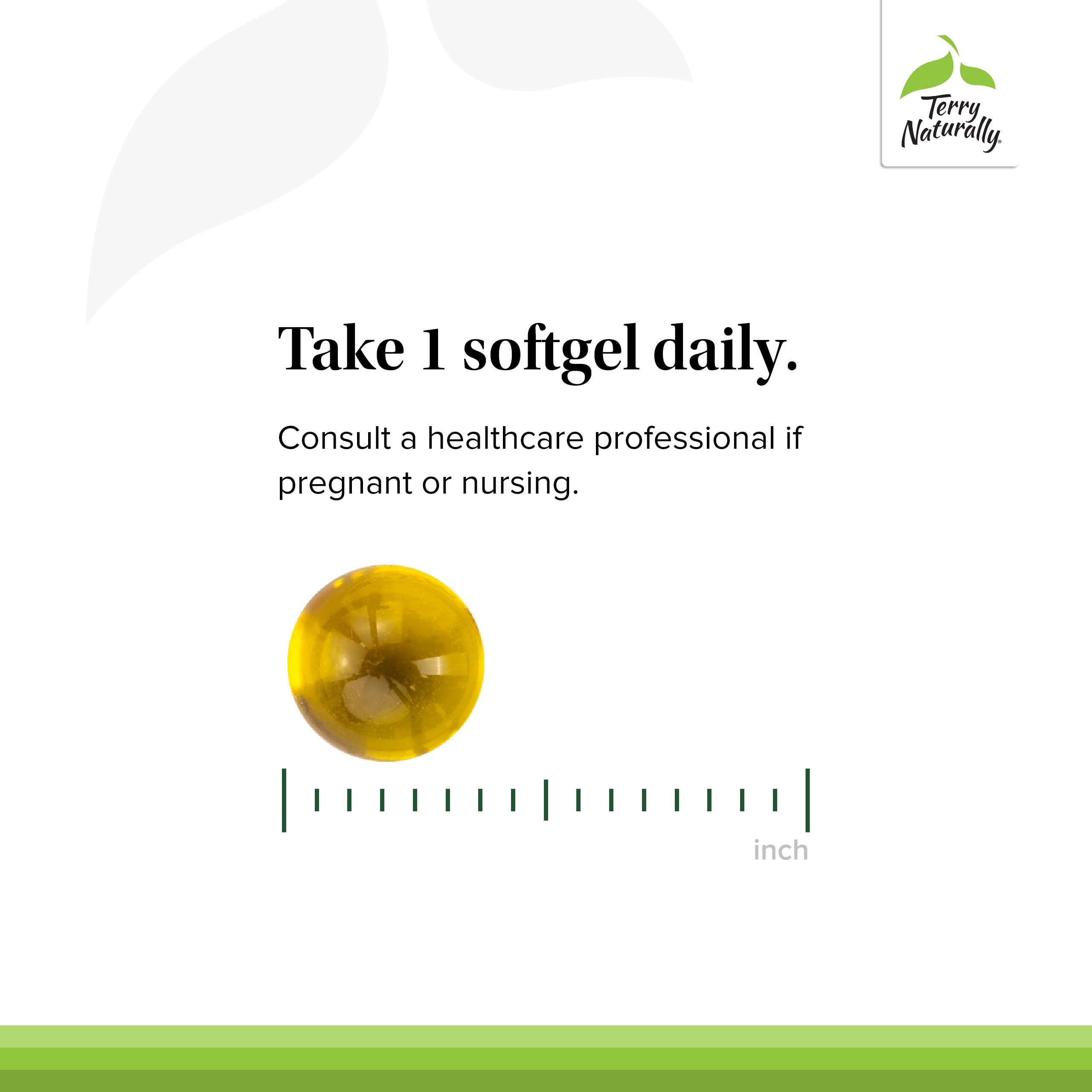 Terry Naturally Artery Strong - Cardio Health & Vascular Elasticity and Strength Support - Cardiovascular Support Supplement with Vitamins A & D3 - Aids Blood Vessel Elasticity - 60 Softgels