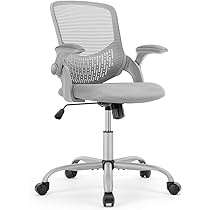 OLIXIS Office Chair - Desk Chair with Wheels, Ergonomic Home
