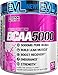 Evlution Nutrition BCAA5000 Powder 5 Grams of Branched Chain Amino Acids (BCAAs) Essential for Performance, Recovery, Endurance, Muscle Building, Keto Friendly, No Sugar (30 Servings, Acai Berry)