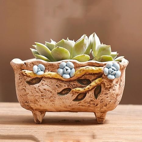 Amazon Ckh 手描きの肉の花のポットクリエイティブストーンウェアの 肉の緑の植物セラミックポットb8 花器 インテリアボウル オンライン通販