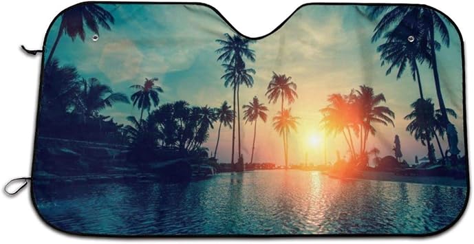 Sports Car Palm Trees Wallpaper