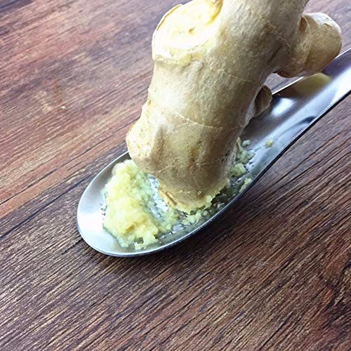 STORE-HOMER - Ginger Grater Spoon Stainless Steel Ginger Tea Spoon Garlic Grater Lemon Zester For Home Kitchen Fruit Vegetable Tool