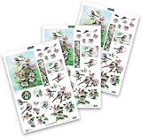 Katy Sue Floral Decoupage Sheets - 12 Die-Cuts for Card Making view 3