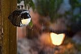 Philips Hue Outdoor Motion Sensor – IP54, Dusk to Dawn, Battery Powered view 8