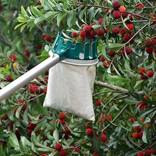 HANZIUP Fruit Picker Basket Head with Sharp Blade, Labor Saving for Harvest Picking Apple Pear Peach Mango Kiwi Lemon