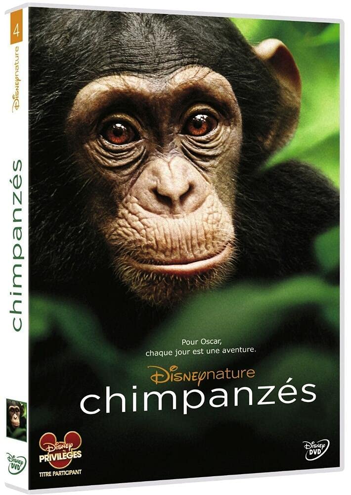 Chimpanzes Francia Dvd Amazon Es Alastair Fothergill Mark Linfield Peliculas Y Tv