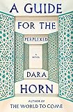 A Guide for the Perplexed: A Novel