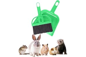 2 Brothers Wholesale Mini Broom and Dustpan Set - Compact Cleaning Kit for Home, Car, Camping, Small Spaces, Pet Cleanup, and Travel - Durable Small Broom and Dustpan Set Mini - Green Broom