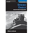 Strike Eagle: Flying the F-15E in the Gulf War (The Warriors)