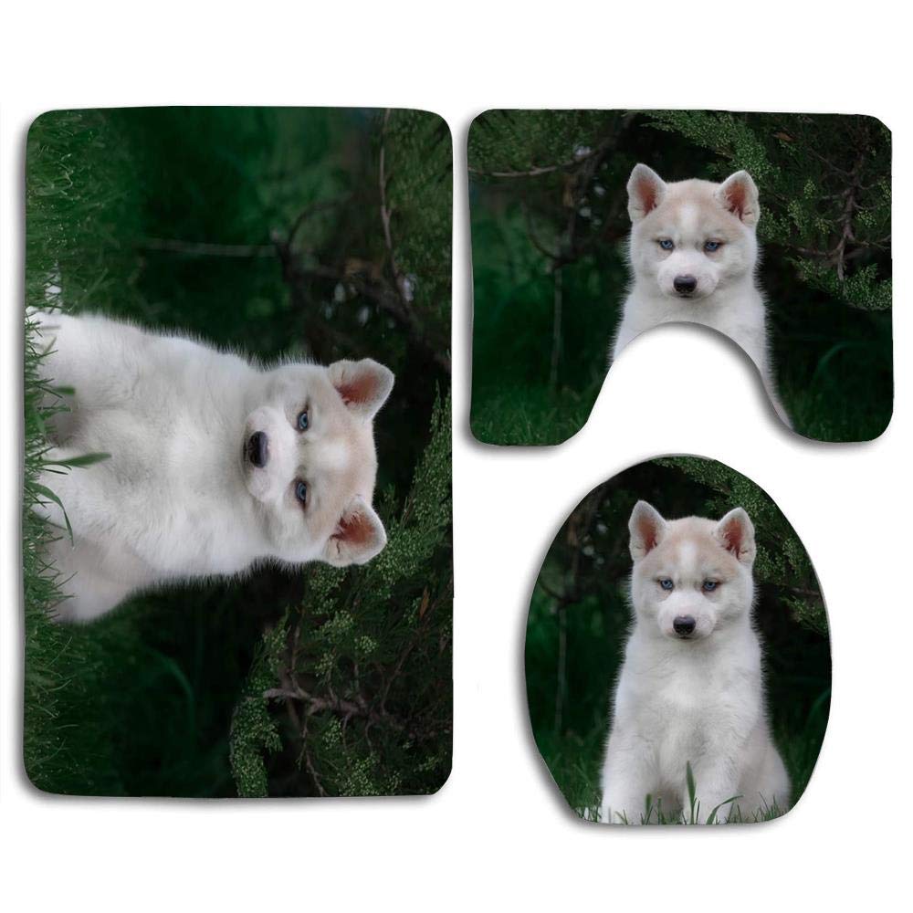 Best toilet seat for puppy