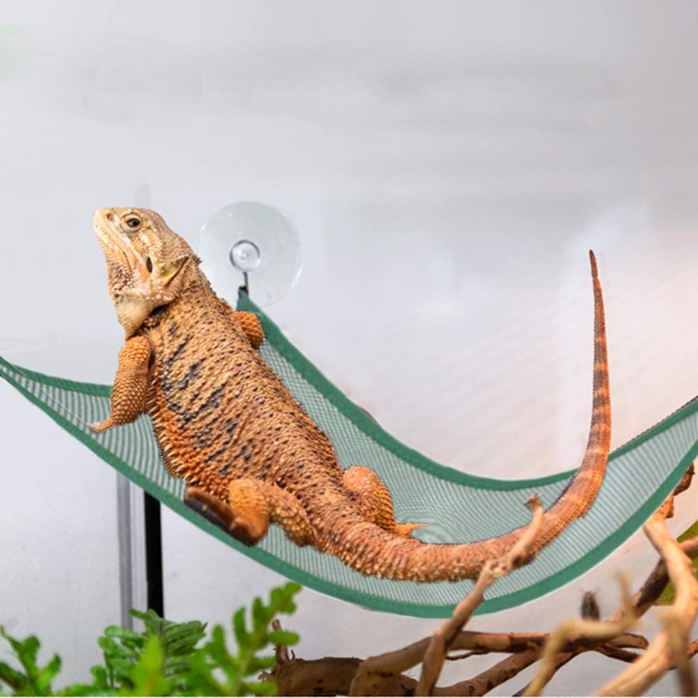Leopard Geckos Small Hammock For Baby Bearded Dragons Sugar Gliders Or Other Small Animals Sh42 Pet Furniture Pet Supplies Vadel Com