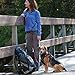 Kurgo Quantum Leash 2.0 - Versatile for Running or Walking - 6 in 1 Dog Leash - Hands-Free Dog Leash - Adjustable - Strong & Durable - Grass Green