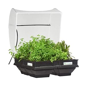 Vegepod - Raised Garden Bed Kit - Medium 39.4in x 39.4in (1m x 1m) Self Watering Container Garden with Protective Cover, Easily Raised to Waist Height, 10 Years Warranty