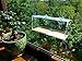 Birdcraft Large Window Bird Feeder with Removable Tray and 3 Suction Cups