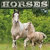 Horses 2016 Mini Calendar