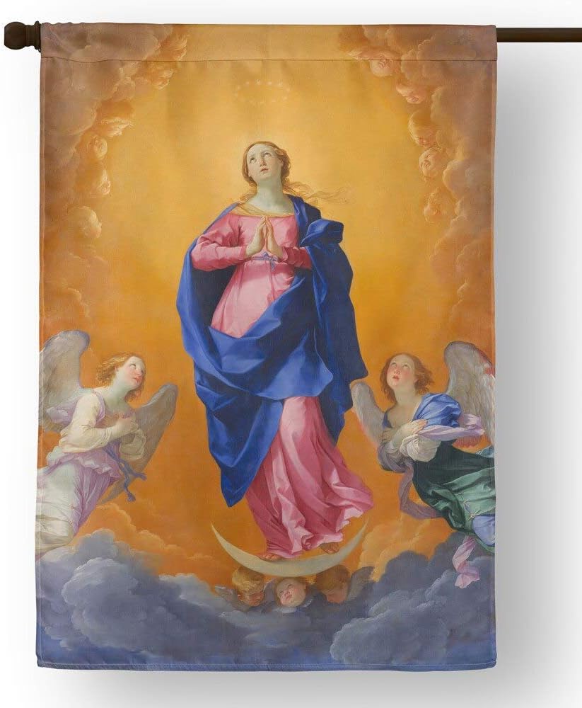 Catholic to the Max The Immaculate