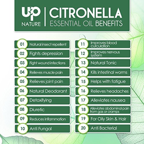 3 UpNature+Citronella+Anti+fungal+Anti+inflammatory+Aromatherapy