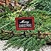 Christmas Sign with Hook for Miniature Garden, Fairy Garden