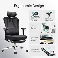 Hbada P3 Ergonnomic Office Chair with 2D Adjustable
