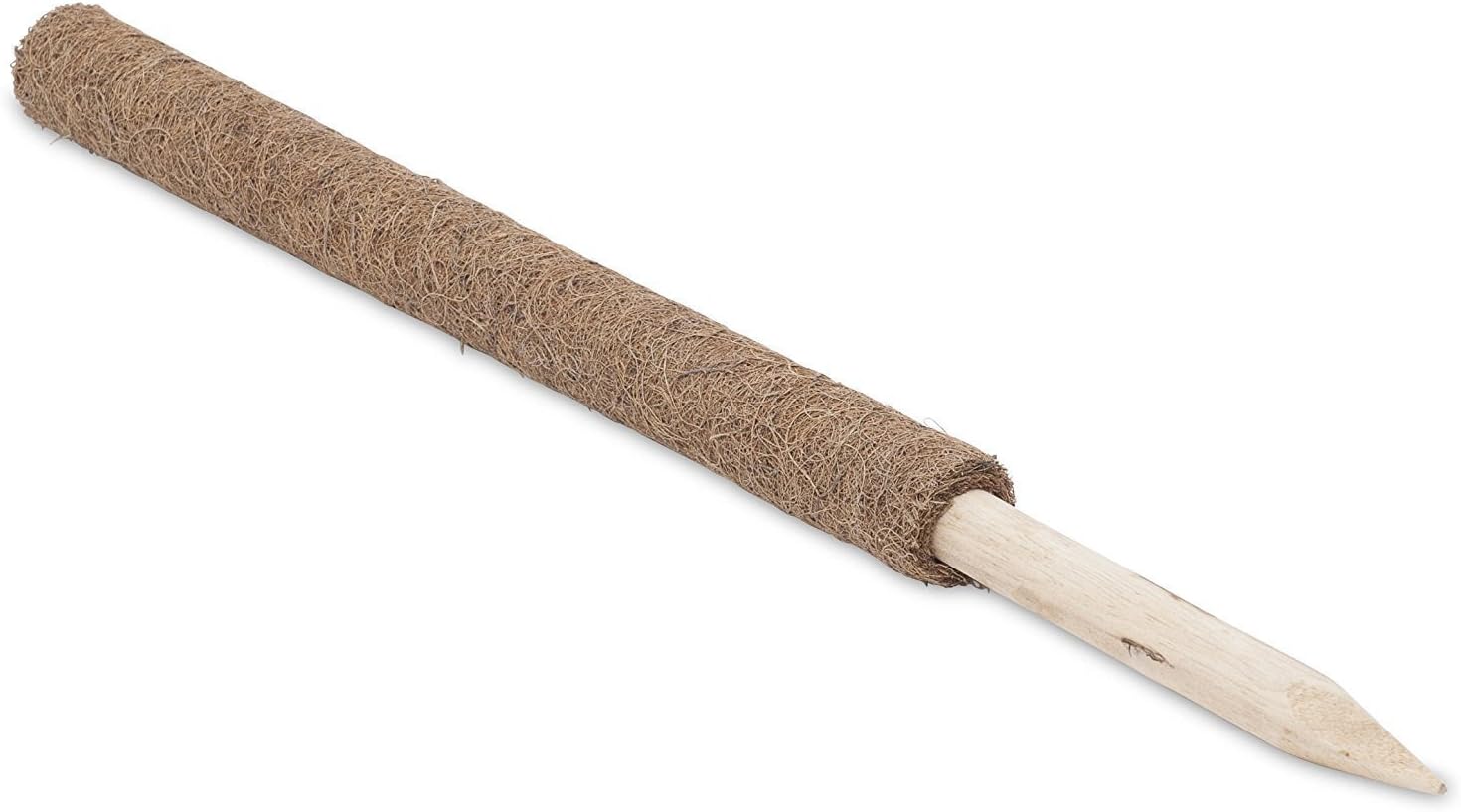 Solagua Palo de Fibra de Coco Plantas Trepadoras Guía para Plantas ...