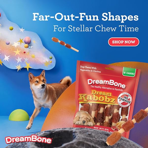 DREAMBONE DREAM KABOBZ, RAWHIDE FREE DOG CHEW STICKS MADE MADE WITH REAL CHICKEN AND VEGETABLES, 18 COUNT