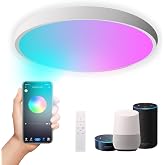 DoHome Smart LED Ceiling Light Work with Apple Homekit Alexa and Google Home RGBCW Color Changing Light Flush Mount Ceiling Lamp 24W Dimmable for Living Room, Bedroom, Home Use