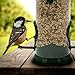 Sorbus Bird Feeder – Classic Tube Hanging Feeders for Finches Bird Seed and More, Weatherproof, Premium Hard Plastic with Metal Hanger, Great for Attracting Birds Outdoors, Backyard, Garden (2 Pack)