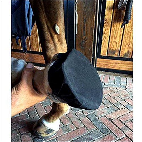 EQUIFIT PACK N STICK HORSE LEG HOOF HOOVE PACKING TAPE 6 PACK