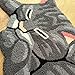 USTIDE Grey Cute Sleeping Cat Shaped Bedroom Area Rug,Tabby Cat Carpet 33.5 by 18 Inch