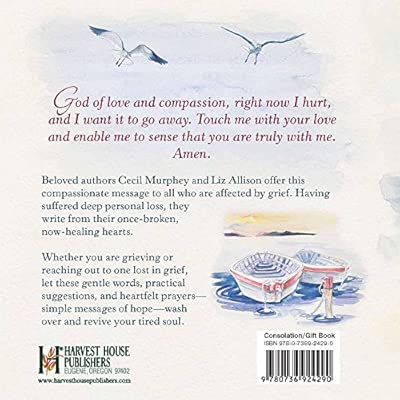 Words Of Comfort For Times Of Loss Amazon Co Uk Liz Allison