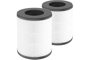 Lot de 2 filtres de rechange H13 HEPA compatibles avec Renair, Cool-Living CL-6070A Beaba Tredy TD-1300 HEPA