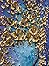 BACCOW -- 3D Blossom Trees Handmade Abstract Wall Art Landscape Oil Paintings Canvas with Frames