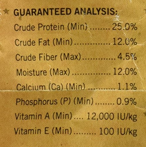 DOG CHOW LITTLE BITES INDOOR 4