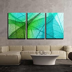 Macro Leaves Background Texture x3 Panels