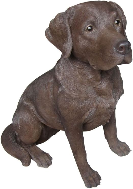 meat up dog biscuits