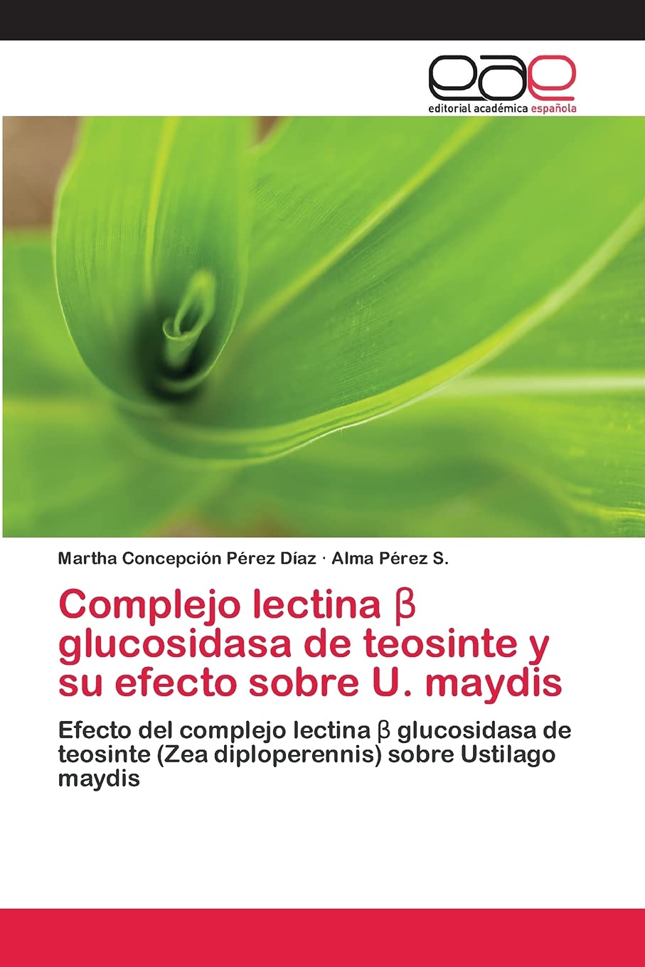 Complejo Lectina B Glucosidasa De Teosinte Y Su Efecto Sobre U Maydis Efecto Del Complejo Lectina B Glucosidasa De Teosinte Zea Diploperennis Sobre Ustilago Maydis Spanish Edition Perez Diaz Martha Concepcion Perez