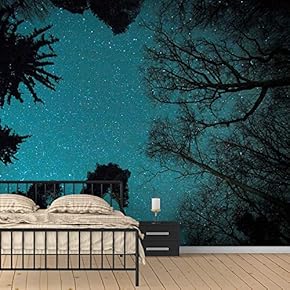 Wall Murals for Bedroom Dreamwork Beautiful Removable Wallpaper Peel and Stick Wall Stickers - 66x96 inches
