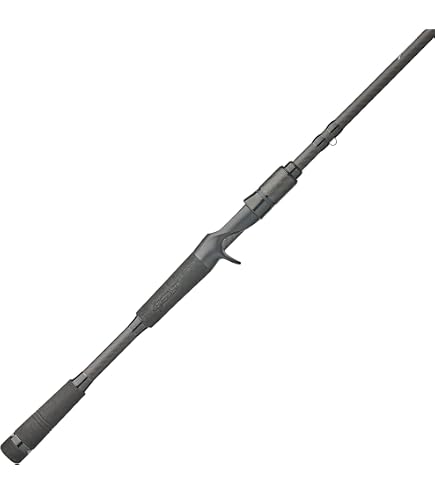 Abu Garcia 6'10