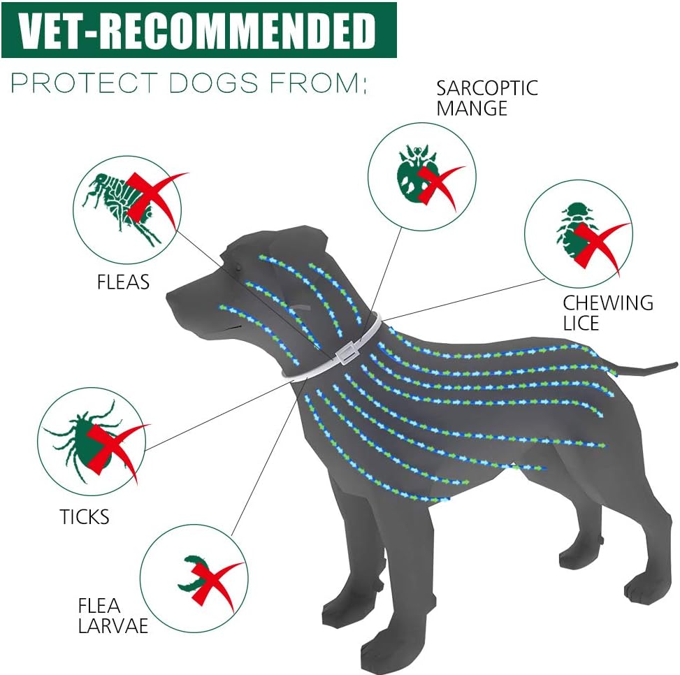 regirock flea collar