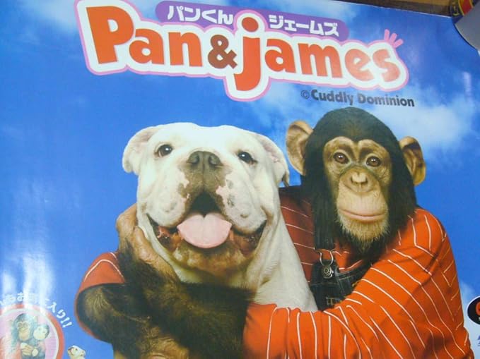 Amazon 貴重 ポスター 志村どうぶつ園 志村動物園 パンくん パン ジェームズ アニメ 萌えグッズ 通販