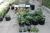 LATERN 6 Pack 5 Gallon Grow Bags, Heavy Duty Nonwoven Fabric Pots view 7