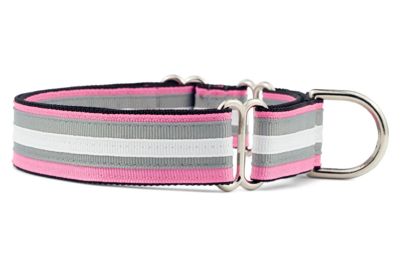 Photo 1 of If It Barks 1" Martingale Collar for Dogs, Adjustable Nylon, USA Made, Small, Spunky