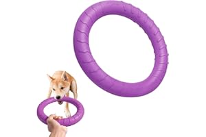DLDER Dog Indestructible Durable Floating Flying Disc Dog Ring Chew Toys for Pool Swimming,Throwing,Catching,Grabbing Pitch Toss Outdoor Playing,Chewers