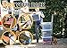 UpCart® Lift - Stair Climbing and Folding Flat Hand Truck up to 200lb Capacity