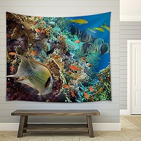 Tropical Anthias Fish with net fire Corals on Red Sea Reef Underwater - Fabric Wall Tapestry Home Decor - 51x60 inches