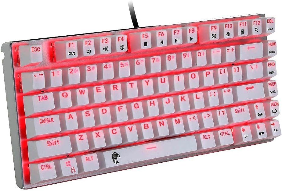 Backlit Mechanical Keyboard with 9 DIY Key Caps Covers,Colorful Mechanical Gaming Keyboard 81 Keys (White-RGB (blue switches))