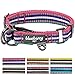 Blueberry Pet Safety Dog Collar with Dual D-Rings | 3M Reflective Multi-Colored Adjustable Collar in Pink, Emerald and Orchid | Soft Nylon Dog Collar for Active Small Dogs
