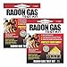 Pro-Lab Radon Gas Test Kit